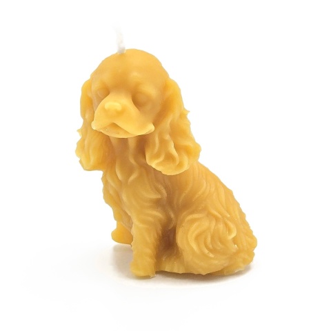 Cocker Spaniel - świeca z wosku pszczelego