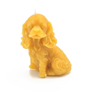 Cocker Spaniel - świeca z wosku pszczelego