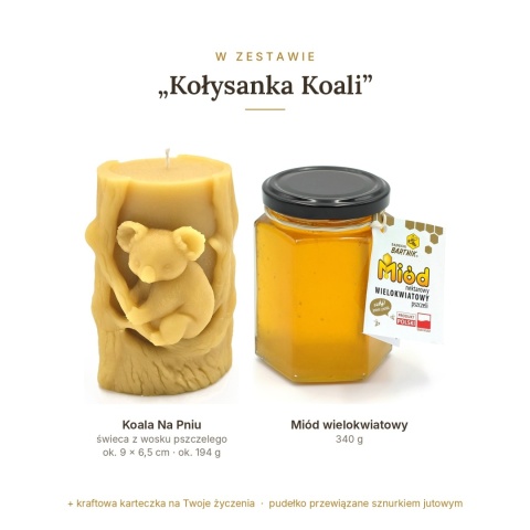 Kołysanka Koali - zestaw: duża świeca koala i miód wielokwiatowy